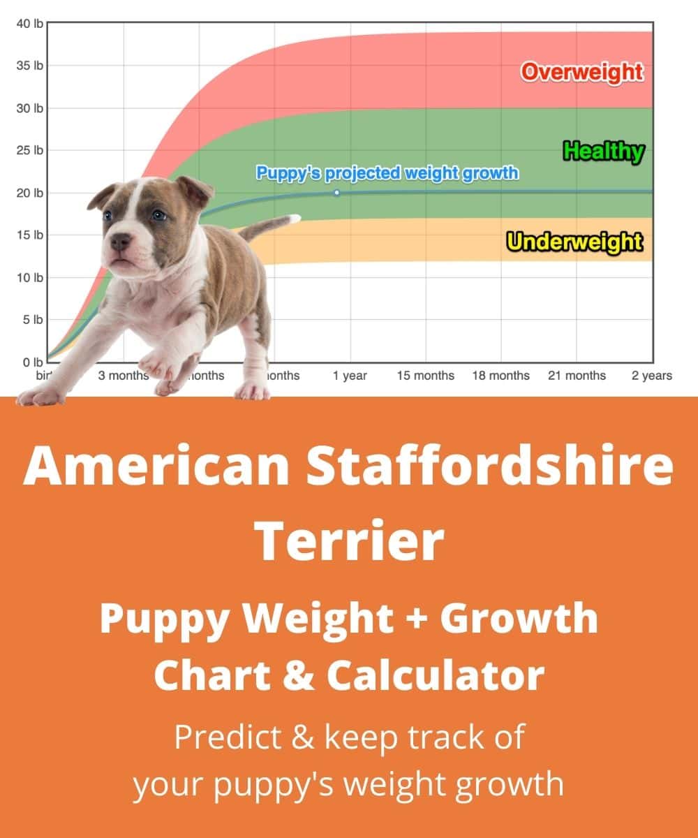 american-staffordshire-terrier Puppy Weight Growth Chart